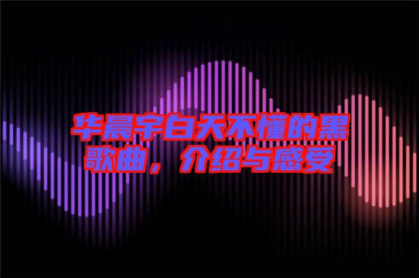 華晨宇白天不懂的黑歌曲，介紹與感受
