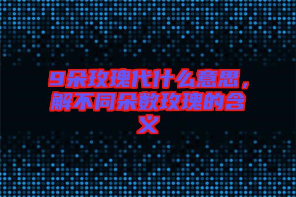 9朵玫瑰代什么意思，解不同朵數玫瑰的含義