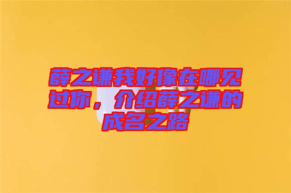 薛之謙我好像在哪見過你，介紹薛之謙的成名之路