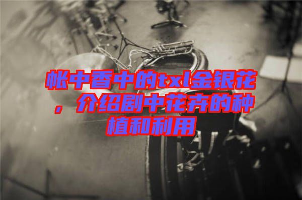 帳中香中的txl金銀花，介紹劇中花卉的種植和利用
