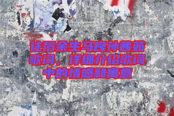 往后余生馬良孫茜茹歌詞，詳細介紹歌詞中的情感和寓意