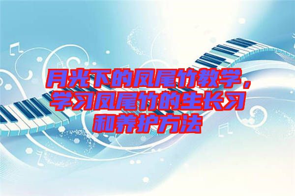 月光下的鳳尾竹教學(xué)，學(xué)習(xí)鳳尾竹的生長習(xí)和養(yǎng)護(hù)方法