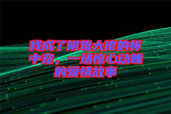 我成了陰鷙大佬的懷中寵，一場驚心動魄的愛情故事