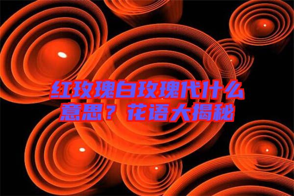 紅玫瑰白玫瑰代什么意思？花語大揭秘