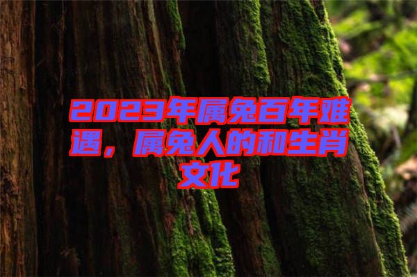2023年屬兔百年難遇，屬兔人的和生肖文化