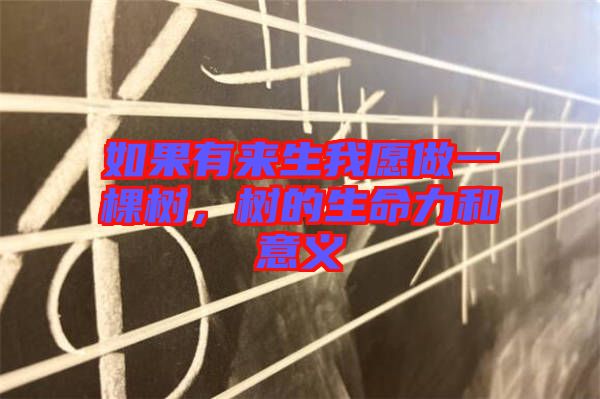 如果有來生我愿做一棵樹，樹的生命力和意義