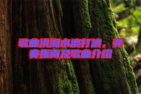 歌曲洪湖水浪打浪，彈奏指南及歌曲介紹