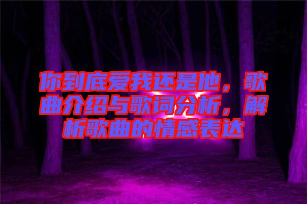 你到底愛我還是他，歌曲介紹與歌詞分析，解析歌曲的情感表達