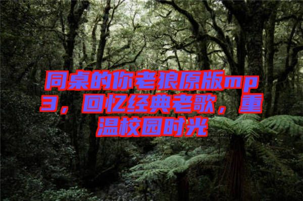 同桌的你老狼原版mp3，回憶經(jīng)典老歌，重溫校園時(shí)光