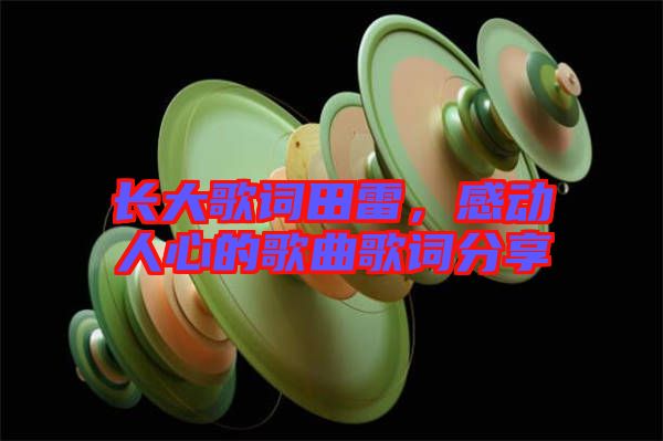 長大歌詞田雷，感動人心的歌曲歌詞分享