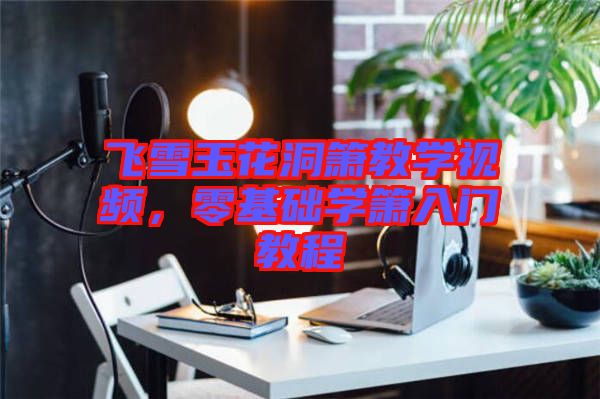 飛雪玉花洞簫教學視頻，零基礎學簫入門教程