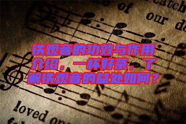 鐵觀音的功效與作用介紹，一杯好茶，了解鐵觀音的益處如何？
