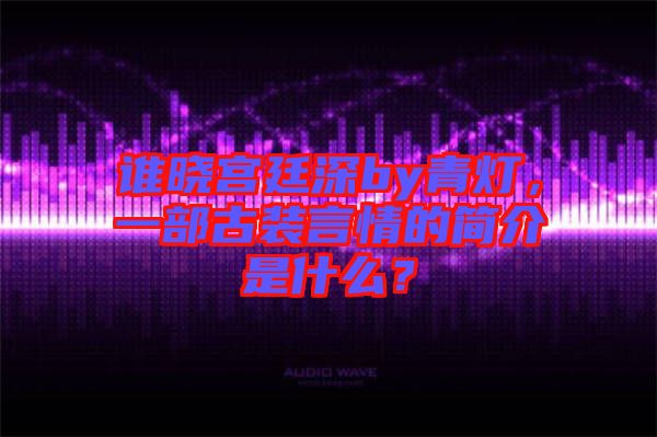 誰曉宮廷深by青燈，一部古裝言情的簡介是什么？