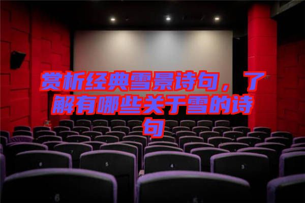 賞析經(jīng)典雪景詩(shī)句，了解有哪些關(guān)于雪的詩(shī)句