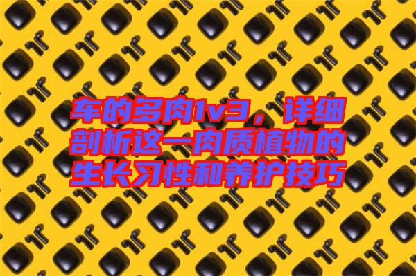車的多肉1v3，詳細(xì)剖析這一肉質(zhì)植物的生長習(xí)性和養(yǎng)護(hù)技巧