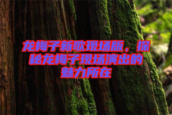龍梅子新歌現場版，探秘龍梅子現場演出的魅力所在