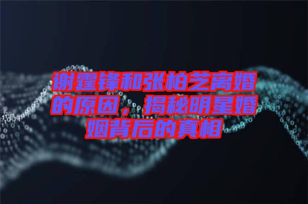 謝霆鋒和張柏芝離婚的原因，揭秘明星婚姻背后的真相