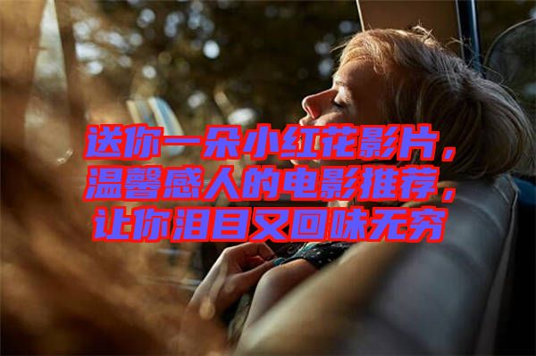 送你一朵小紅花影片，溫馨感人的電影推薦，讓你淚目又回味無窮