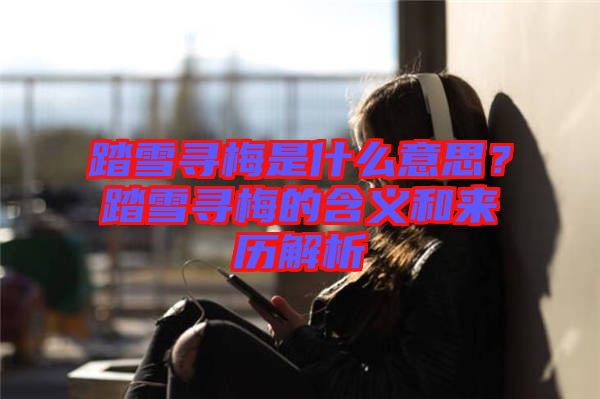 踏雪尋梅是什么意思？踏雪尋梅的含義和來歷解析