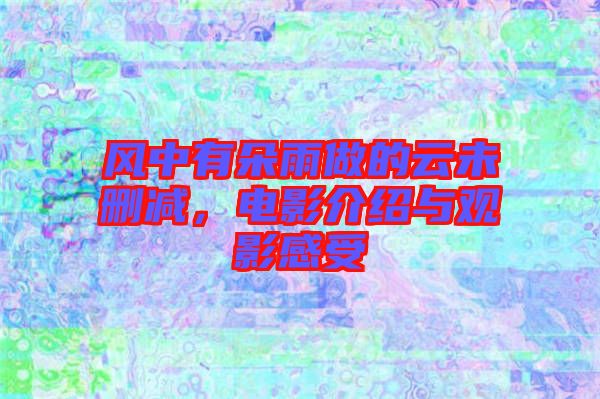 風中有朵雨做的云未刪減，電影介紹與觀影感受