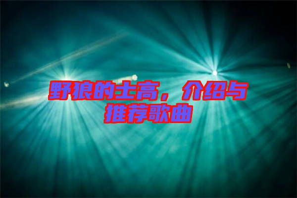 野狼的士高，介紹與推薦歌曲