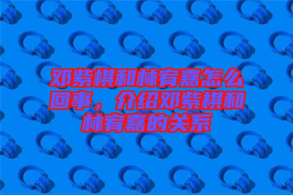 鄧紫棋和林宥嘉怎么回事，介紹鄧紫棋和林宥嘉的關系