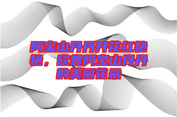 阿寶山丹丹開花紅艷艷，欣賞阿寶山丹丹的美麗花朵