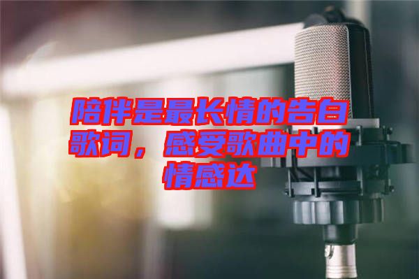 陪伴是最長情的告白歌詞，感受歌曲中的情感達