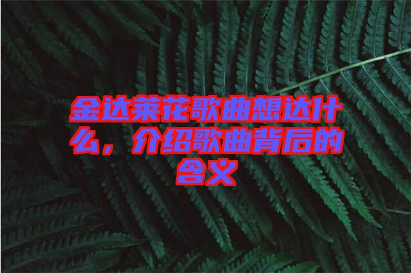 金達萊花歌曲想達什么，介紹歌曲背后的含義